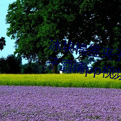 K޺A(K޺AӾƾppҕlھ^)