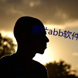 黄片abb软件