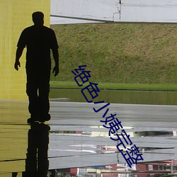 绝色小姨完整