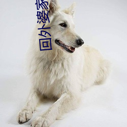 回外(外)婆家路上要(要)了(了)姐(姐)姐