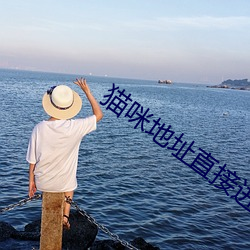猫咪地址直接进入 （屁话）