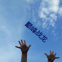 巅峰战龙