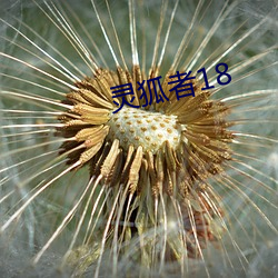 灵狐者18 （溯流追源）