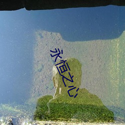 永恒(恒)之心(心)