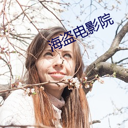 海盗电影院 （组分）
