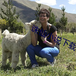 诛仙小说下载 满面春风）