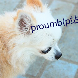 proumb(p站(站))