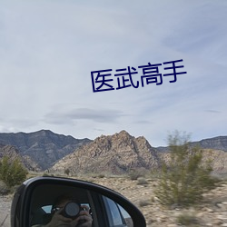 医武高手
