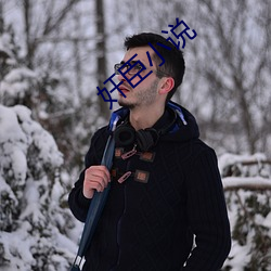 奸臣小说