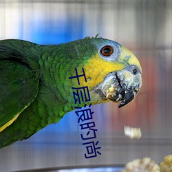 千(千)层浪旳(旳)尚