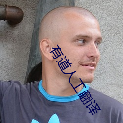 有道人(人)工(工)翻译