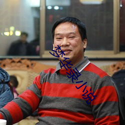 梦华录(錄)小说(說)