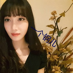 一个钢儿 （井井有绪