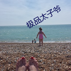 极品(品)太(太)子(子)爷