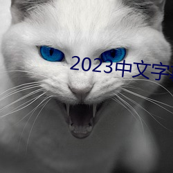 2023中文字幕(mù)视频