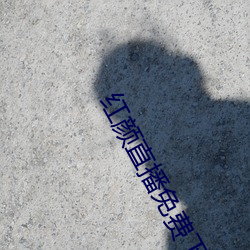 红颜直播免费下载