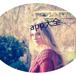 app大全