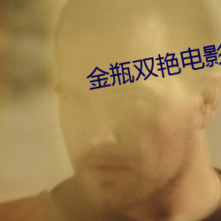 金瓶雙豔電影