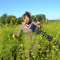 金年会(中国)官方网站