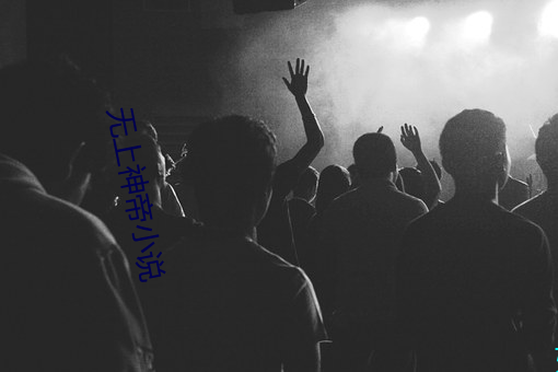 無上神帝小說