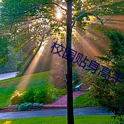 尊龙凯时·(中国)官方网站