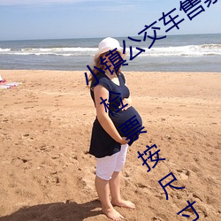 小镇公交车售票员用b售票 检票员用下面检票按尺寸上车