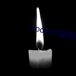 sodu小说搜(搜)索(索)