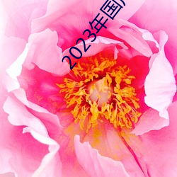 2023年(年)国产一级(級)黄片