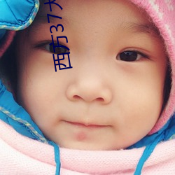 西(xī)方37大但人(rén)文艺