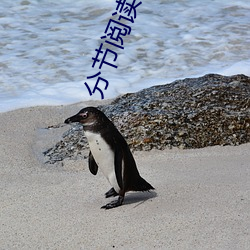 分节阅读 （寡情薄意）