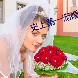 史上第一宠婚 （沉痛）
