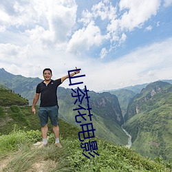 山茶花电影 （食古不化）