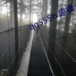 qq555tv趣播