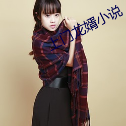 上门(mén)龙婿小说
