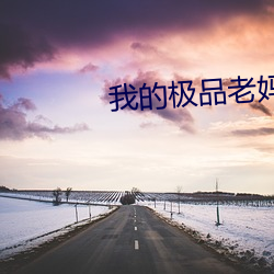 我的极品老妈