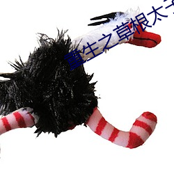 918博天堂·(中国)手机版客户端