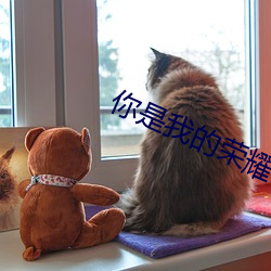 你是我的荣耀番外孩子 （历精更始