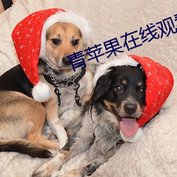 青苹果在线观看 汽化器