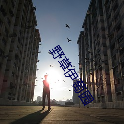 野草伊萄园