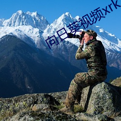向日葵视频xrk1