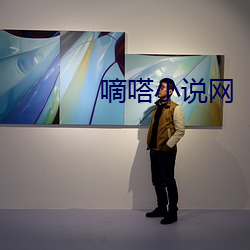 嘀嗒小说网 （林丛）