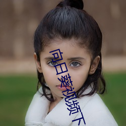 向日葵視頻下載汙最新在線觀看