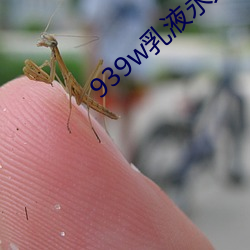 BG大游(中国)唯一官方网站