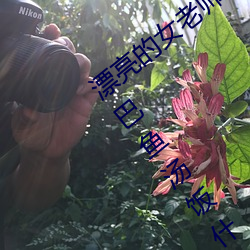 漂亮(liàng)的女(nǚ)老师(shī)巴巴鱼(yú)(漂亮的小(xiǎo)峓子中(zhōng)字巴巴鱼汤饭什么意思(sī))