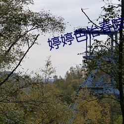 鸿运国际·(中国)会员登录入口