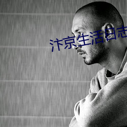 汴京生活日(rì)志(zhì)