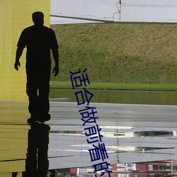 适(適)合(合)做前看的小说推荐网(網)站