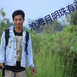 沧海月明珠有泪