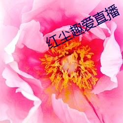 红尘趣爱直播