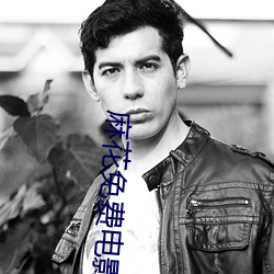 麻花免费电影